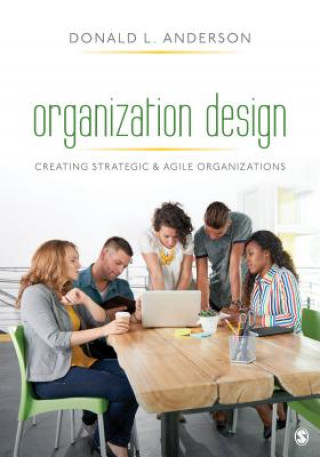 Kniha Organization Design Donald L. Anderson