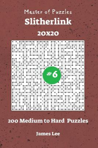 Könyv Master of Puzzles Slitherlink - 200 Medium to Hard 20x20 vol. 6 James Lee