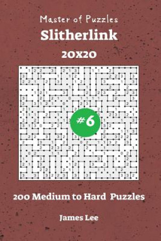 Książka Master of Puzzles Slitherlink - 200 Medium to Hard 20x20 vol. 6 James Lee