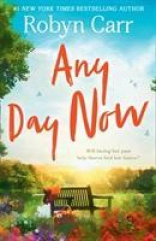 Buch Any Day Now Robyn Carr