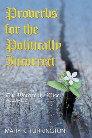 Boek Proverbs for the Politically Incorrect Mary K Turkington