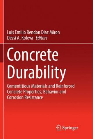 Buch Concrete Durability Dessi A. Koleva