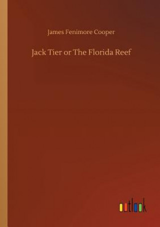 Buch Jack Tier or The Florida Reef James Fenimore Cooper