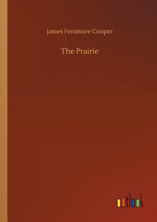 Buch Prairie James Fenimore Cooper