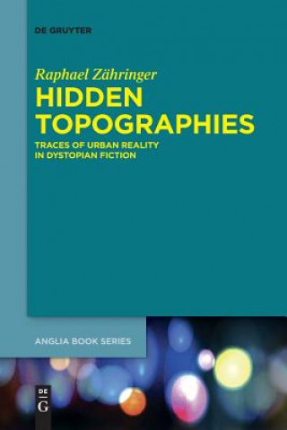 Kniha Hidden Topographies Raphael Zahringer