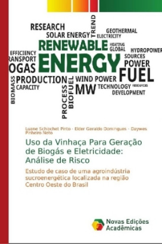 Kniha Uso da Vinhaca Para Geracao de Biogas e Eletricidade Luane Schiochet Pinto