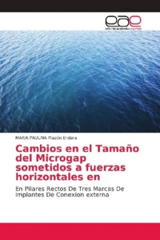 Könyv Cambios en el Tamano del Microgap sometidos a fuerzas horizontales en Maria Paulina Mazón Endara