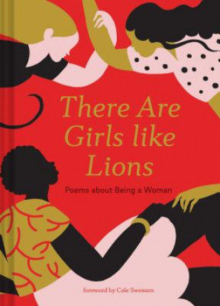 Könyv There are Girls like Lions Karolin Schnoor