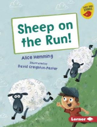 Kniha Sheep on the Run! Alice Hemming