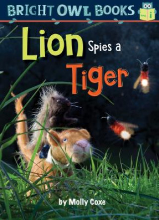 Buch Lion Spies a Tiger Molly Coxe