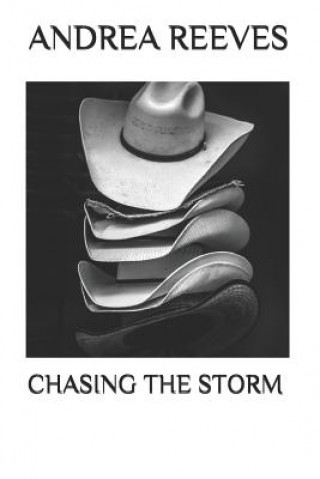 Книга Chasing the Storm Andrea Reeves