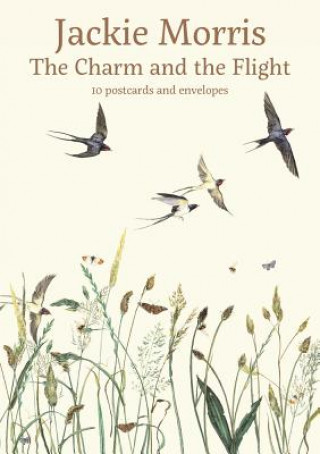 Kniha Charm and the Flight Postcard Pack Jackie Morris