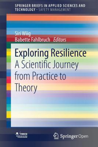 Könyv Exploring Resilience Siri Wiig