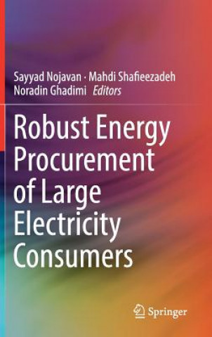 Książka Robust Energy Procurement of Large Electricity Consumers Sayyad Nojavan