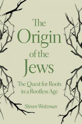 Kniha Origin of the Jews Steven Weitzman