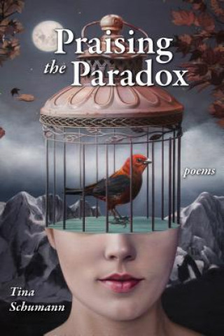 Kniha Praising the Paradox Tina Schumann