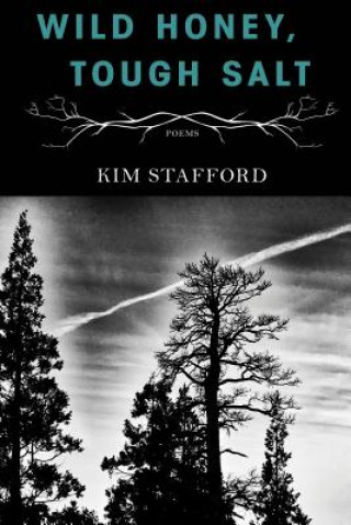 Kniha Wild Honey, Tough Salt Kim Stafford