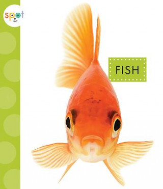 Kniha Fish Mari C Schuh