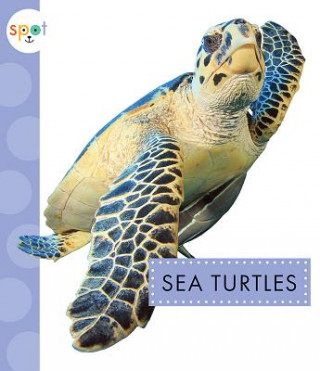 Libro Sea Turtles Mari C Schuh