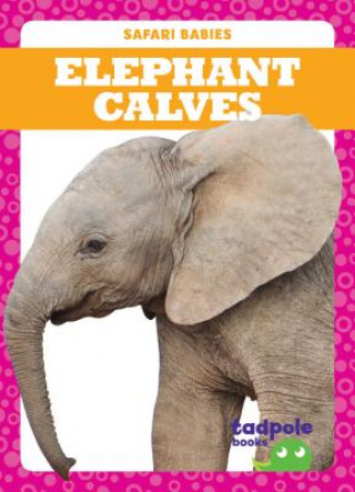 Knjiga Elephant Calves Genevieve Nilsen