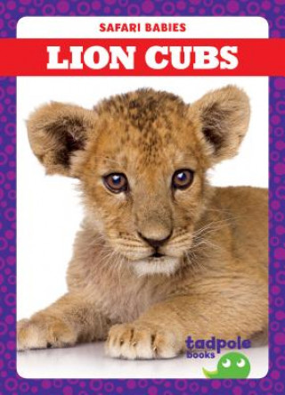 Buch Lion Cubs Genevieve Nilsen