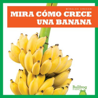 Kniha Mira Como Crece Una Banana (Watch a Banana Grow) Kirsten Chang