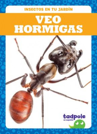 Carte Veo Hormigas (I See Ants) Genevieve Nilsen