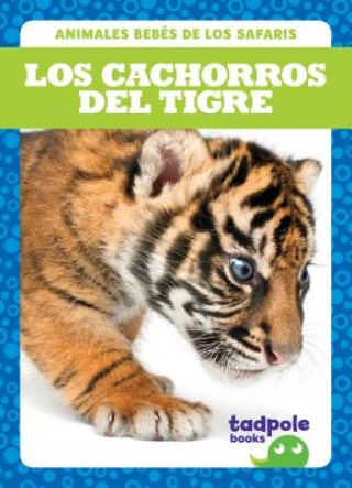 Knjiga Los Cachorros del Tigre (Tiger Cubs) Genevieve Nilsen