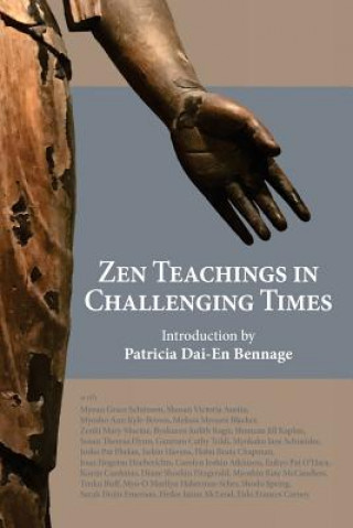 Kniha Zen Teachings in Challenging Times Eido Frances Carney