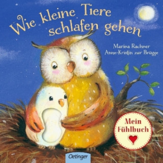 Kniha Wie kleine Tiere schlafen gehen Anne-Kristin Zur Brügge