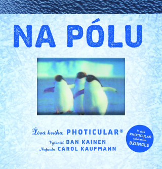 Könyv Na pólu Dan Kainen
