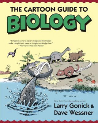 Kniha Cartoon Guide to Biology GONICK  LARRY