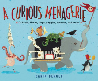 Kniha Curious Menagerie Carin Berger