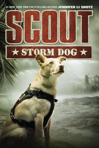 Kniha Scout: Storm Dog Jennifer Li Shotz