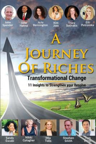 Book Transformational Change John Spender