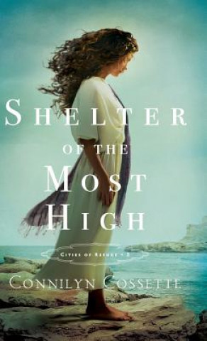 Livre Shelter of the Most High Connilyn Cossette