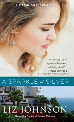 Boek Sparkle of Silver Liz Johnson