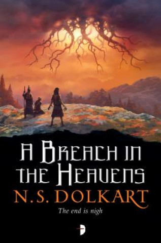 Livre Breach in the Heavens N. S. Dolkart