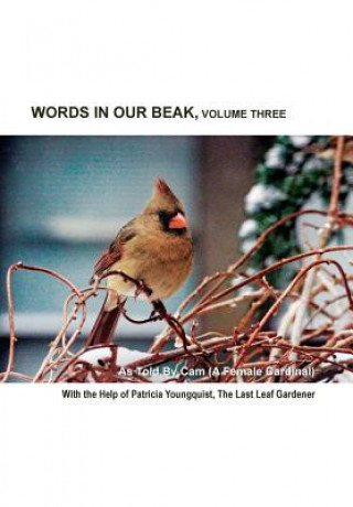 Könyv Words In Our Beak, Volume Three Patricia Youngquist