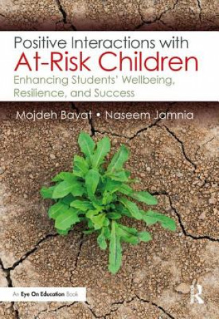 Book Positive Interactions with At-Risk Children Bayat