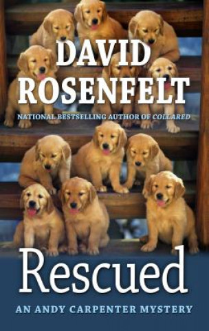 Könyv Rescued David Rosenfelt