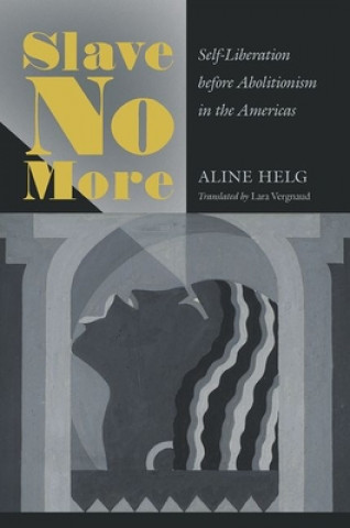 Βιβλίο Slave No More Aline Helg