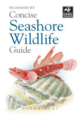 Kniha Concise Seashore Wildlife Guide Bloomsbury