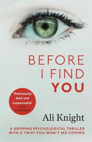 Book Before I Find You Ali Knight