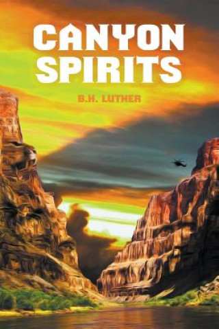 Boek Canyon Spirits B H Luther