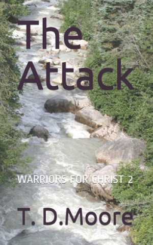Knjiga The Attack T D Moore