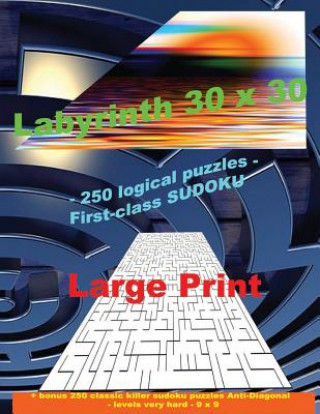 Kniha Labyrinth 30 X 30 - 250 Logical Puzzles - First-Class Sudoku: Large Print + Solutions + Bonus 250 Classic Killer Sudoku Puzzles Anti-Diagonal - Levels Andrii Pitenko
