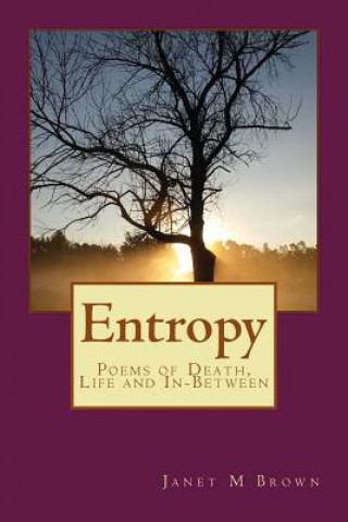 Kniha Entropy: Poems of Death, Life and Everything on the Outside Janet M Brown