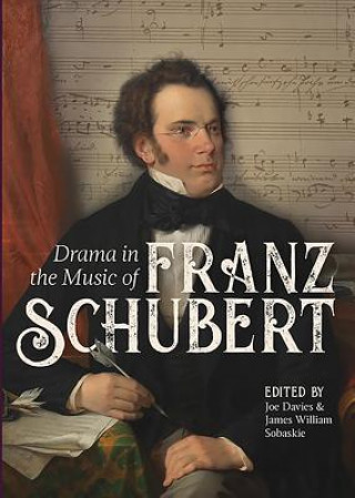 Kniha Drama in the Music of Franz Schubert Joe Davies