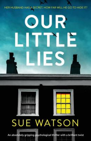 Kniha Our Little Lies Sue Watson